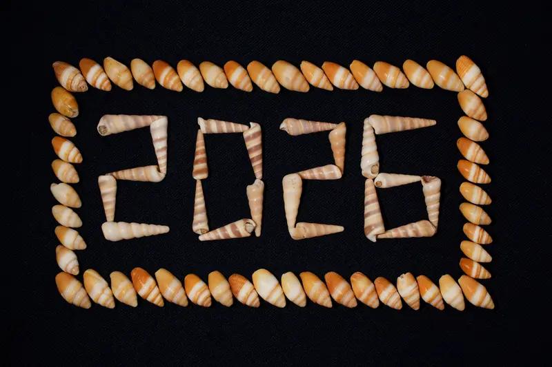 马上就要2026年了，我不想立那种“我要赚一个亿”或者“我要瘦20斤”的Flag