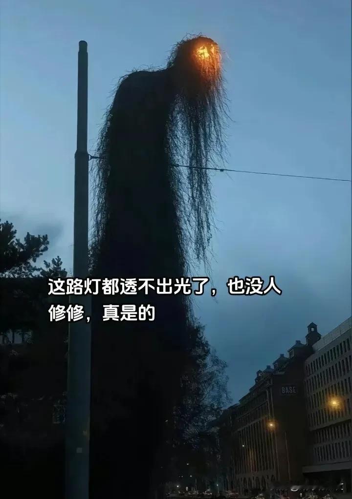 高大的路灯上，青草与灌木共舞，繁茂生机点亮寂静夜空
#夜色中的树# #树枝上的守