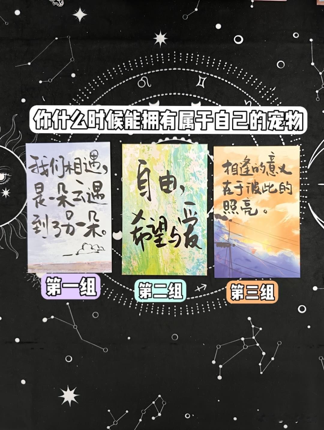 我们相遇，是一朵云遇到了另一朵。自由，希望与爱照亮。相逢的意义在于彼此的