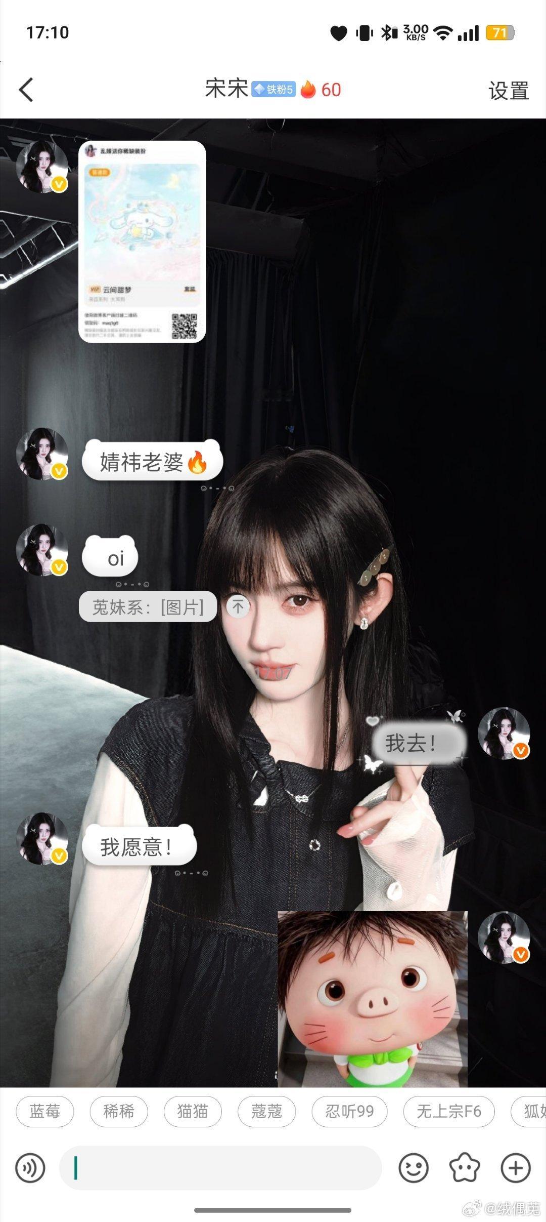 biubiubiu 专栏 · 小猫│宋宋独家記錄