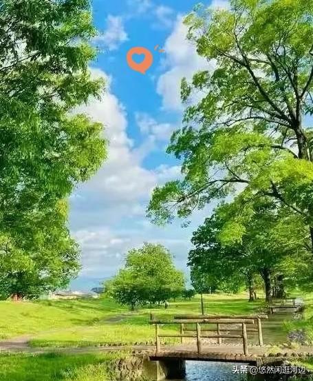 提前通知一下
大家好有个心理准备。明天8月9号，就正式进入中伏第十六天了，今年的