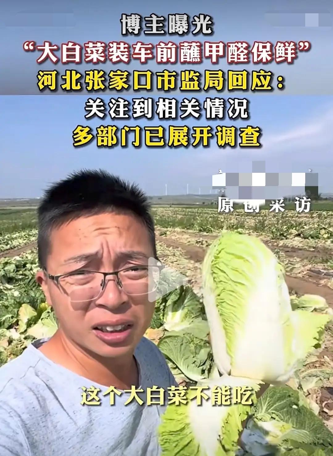 大丰收本该是农户一年到头最开心的时候，可康保这批白菜爆出的问题，看得人心里发凉。