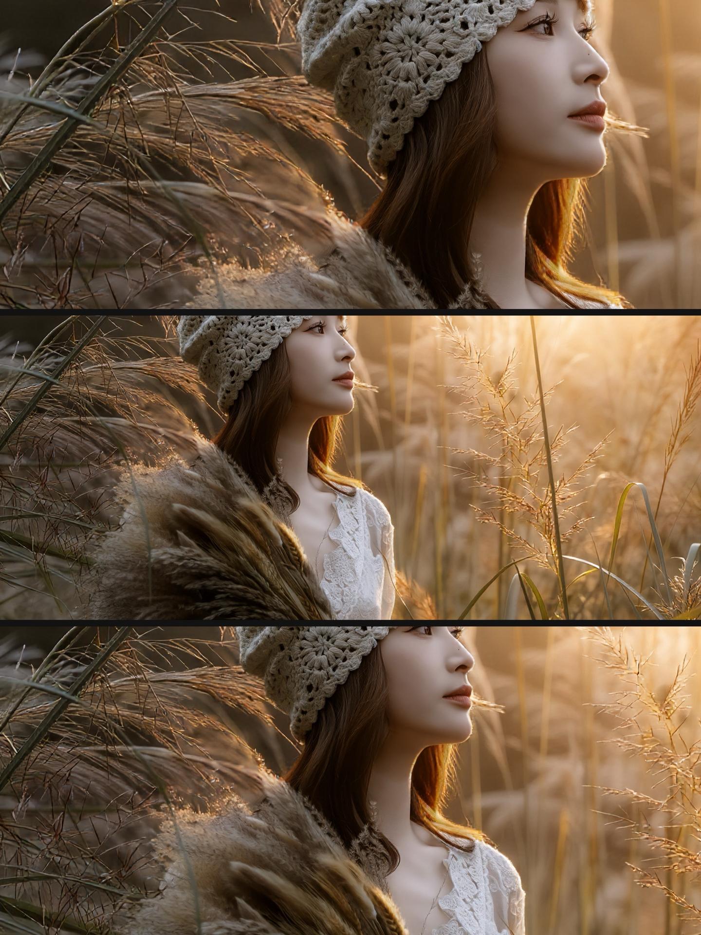 秋冬限定！临海小芝的芦苇光影诗！秋冬的小芝红树林藏着极致浪漫，芦苇荡绵...