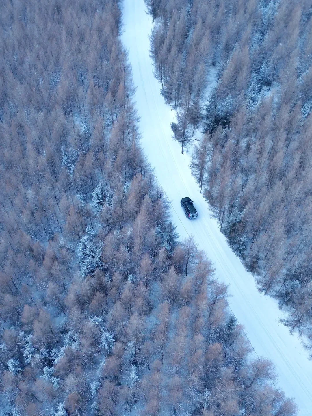 2小时即达❗北京周边的冰雪王国太美了❗