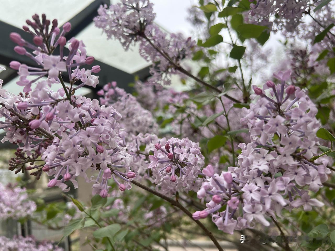 退休老教师办补课班，总比社会人士办班要强。
老教师半生都是是教育体制内的人，懂得