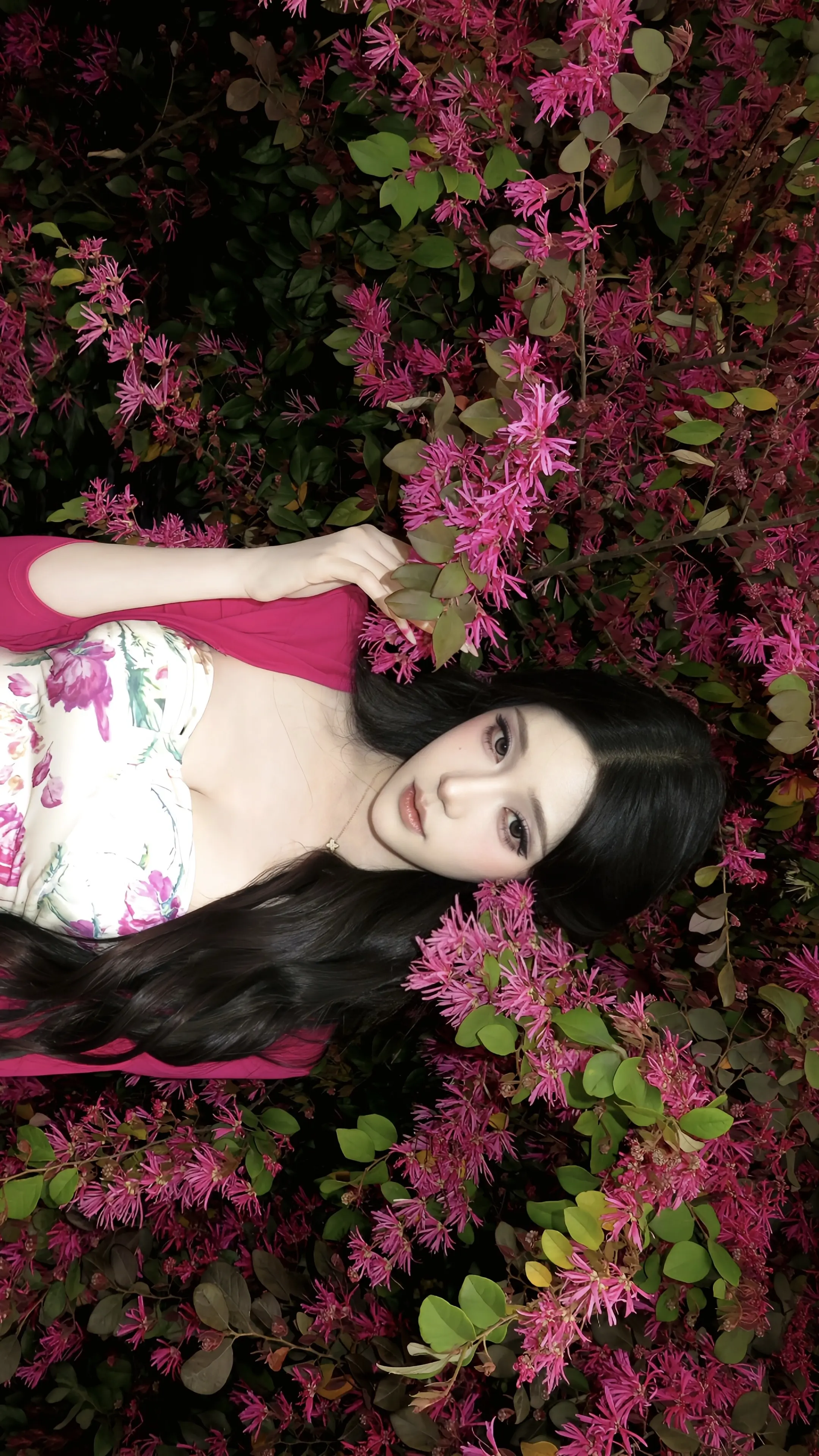 我的生命是一万次春和景明