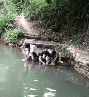 细看这画面，对这些小鸭子来说，真是够残忍的了，一边是自己的同伴被屠戮了，一边是它