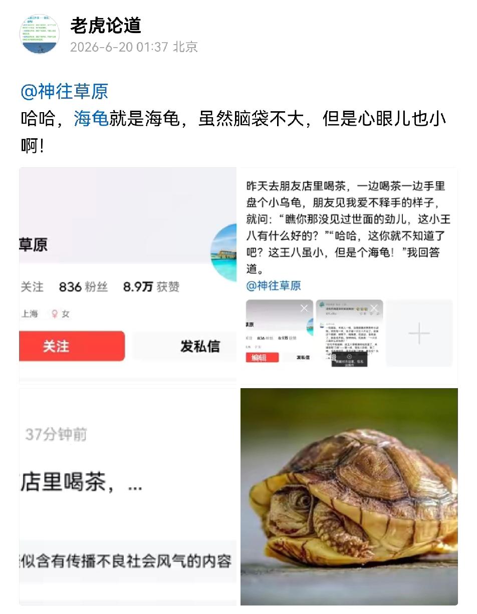 @神往草原 
推荐受点影响，皮外伤都不算，继续呀，继续用你那小爪儿举报啊！千万不