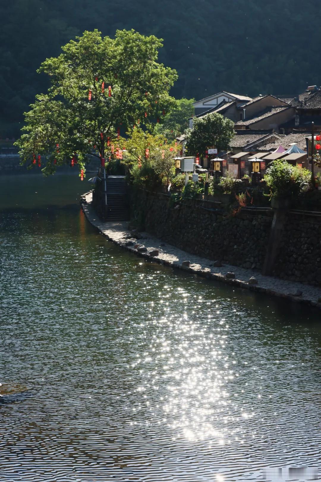 老树古屋相映，光是坐着看流水，心里就特别平和 