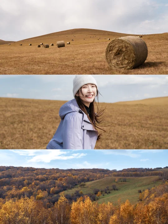 向北走 去追一场金色的秋天