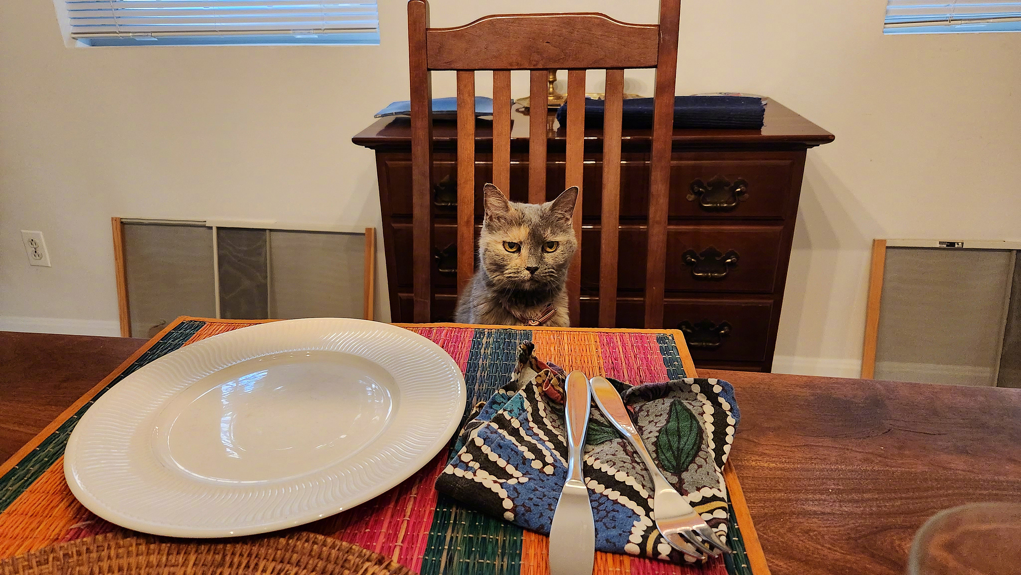 【】“今天是11月10日，我的冰箱几乎空了。事实上，当我写下这篇文章时正饿着肚子