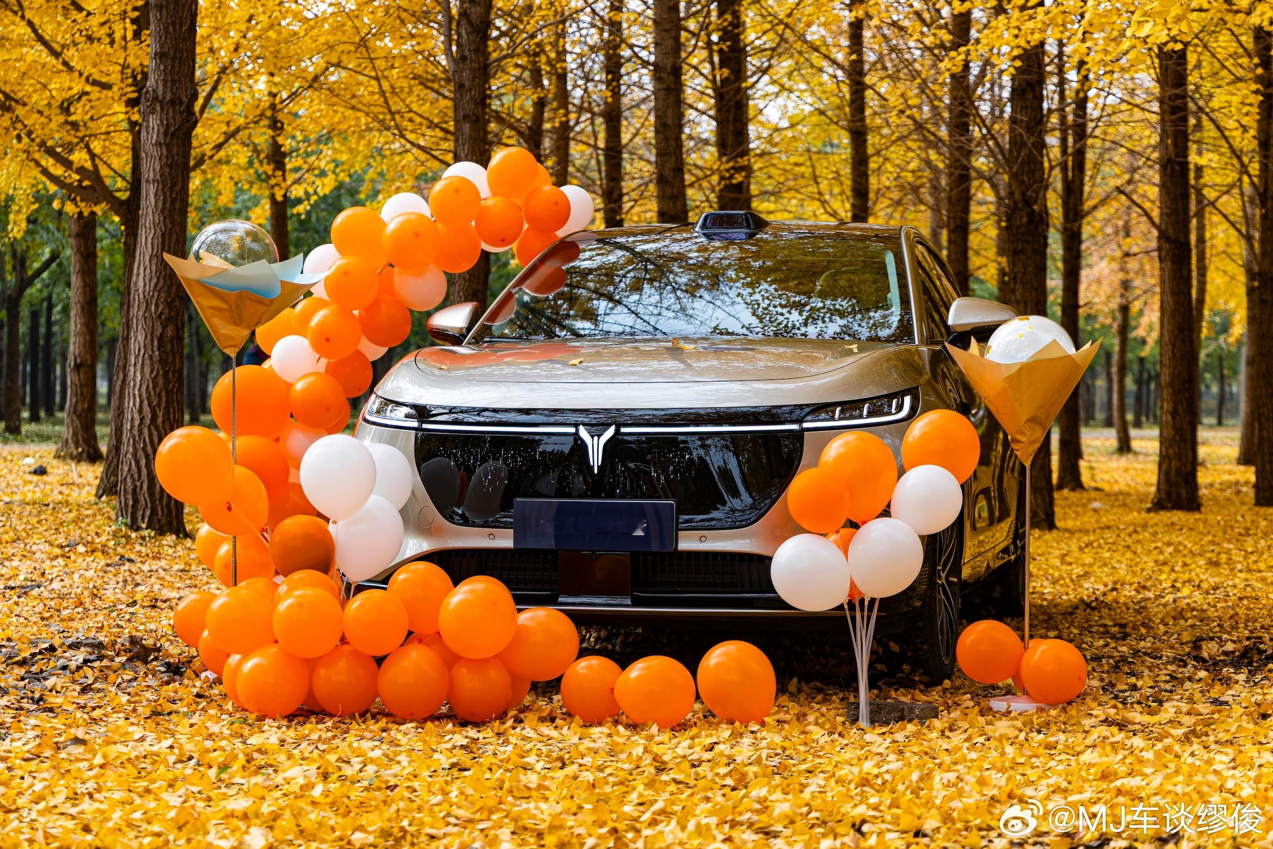 服啊！岚图全新知音是懂交付的，银杏当布景、专人拍秋景同框，让提车成为相册里的秋日