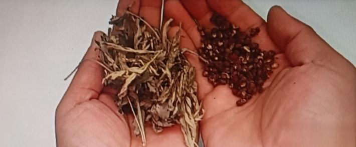 艾草配花椒，这组合简直是宝藏！之前我湿气重，晚上睡不好，还总觉得身上没劲儿。听人