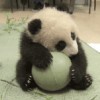 小老大爱读