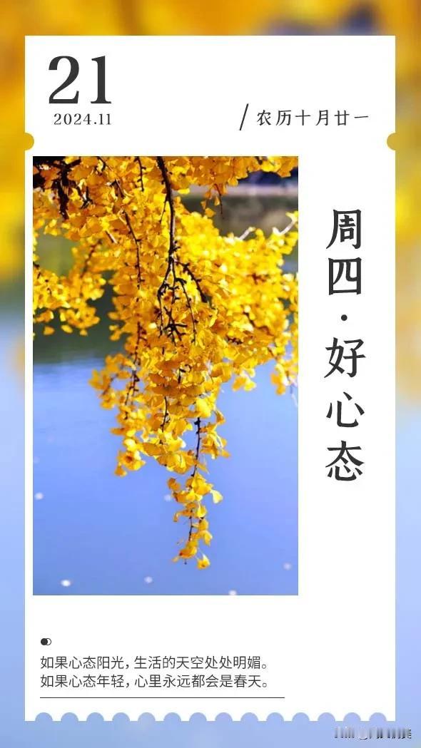 十一月再见，十二月你好！
新的一天，新的一个月。过去的十一个月，不管你过得怎样，