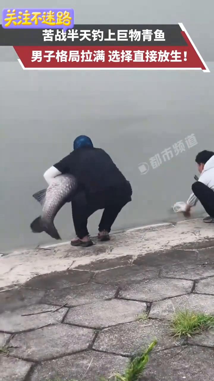 苦战半天钓上巨物青鱼，男子格局拉满选择直接放生。
6月30日(发布)。看看大鱼放