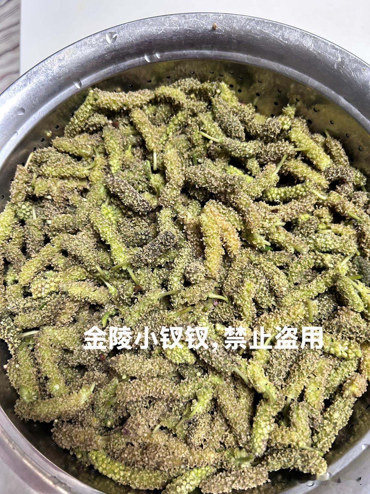 昨天在去佛慧山防空洞的路上，在停车场沟里就看到有人在那里摘这种树上挂着的小穗，我