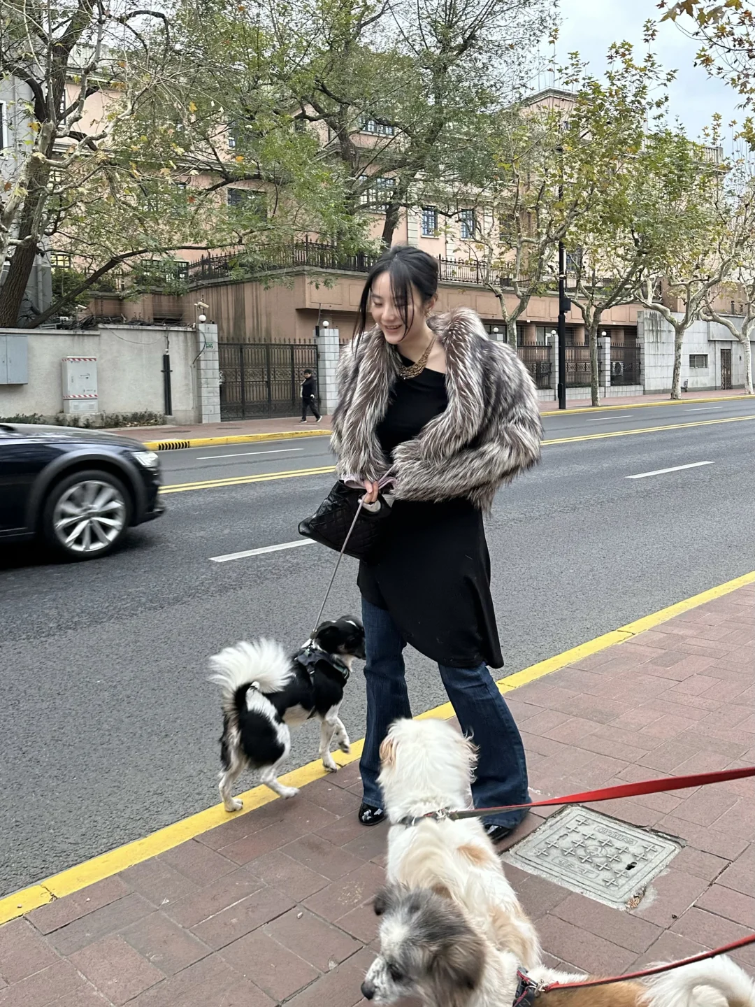 本来是平平无奇的一个周一