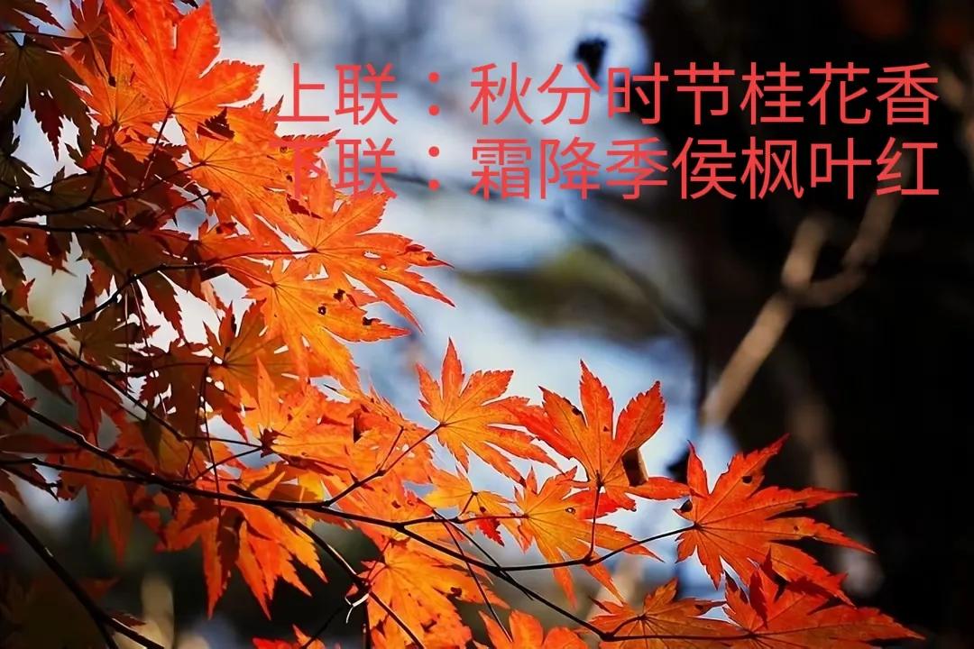 上联：秋分时节桂花香；
下联：霜降侯季枫叶红。
#上联：秋分时节桂花香，诚邀下联