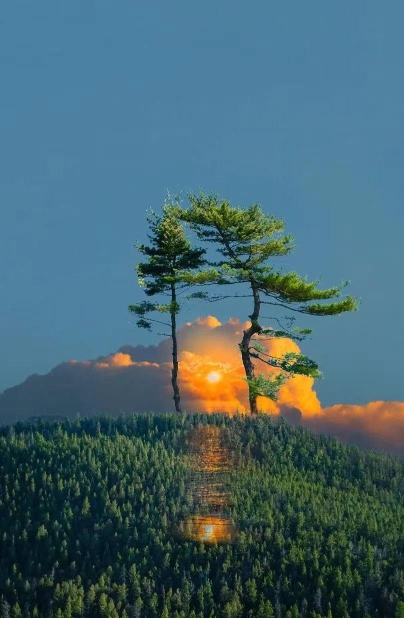 刷到一个小伙子对着视频说他父母根本不配生他，原因是父母没有给他优渥的生活……殊不