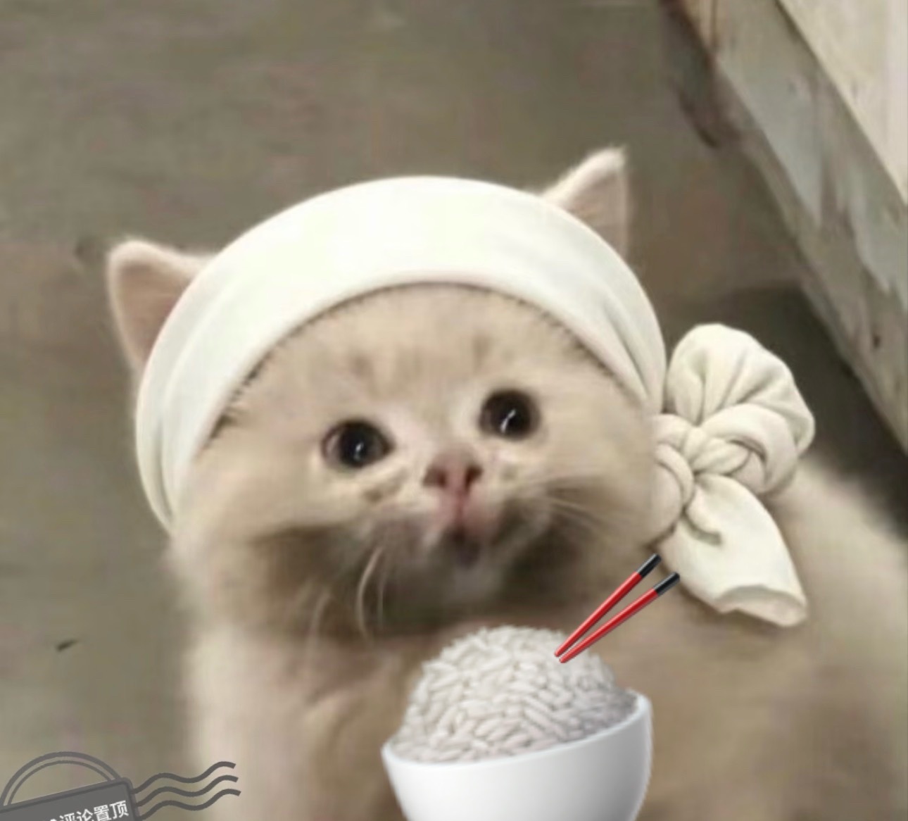壳r 我来了 