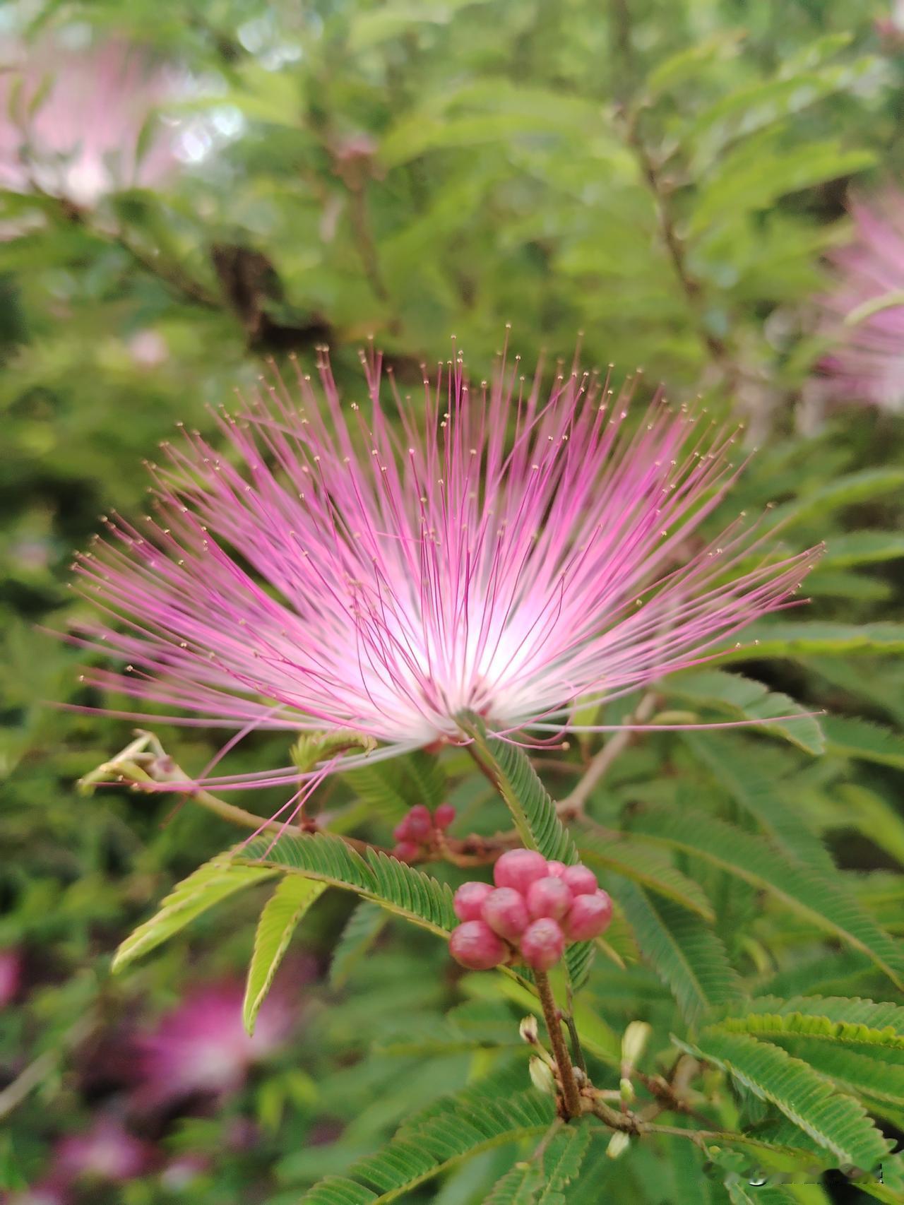 好意外！
真的我们一定要爱惜自己，珍惜当下，不要内耗，没钱咱少用点，不去攀比，有