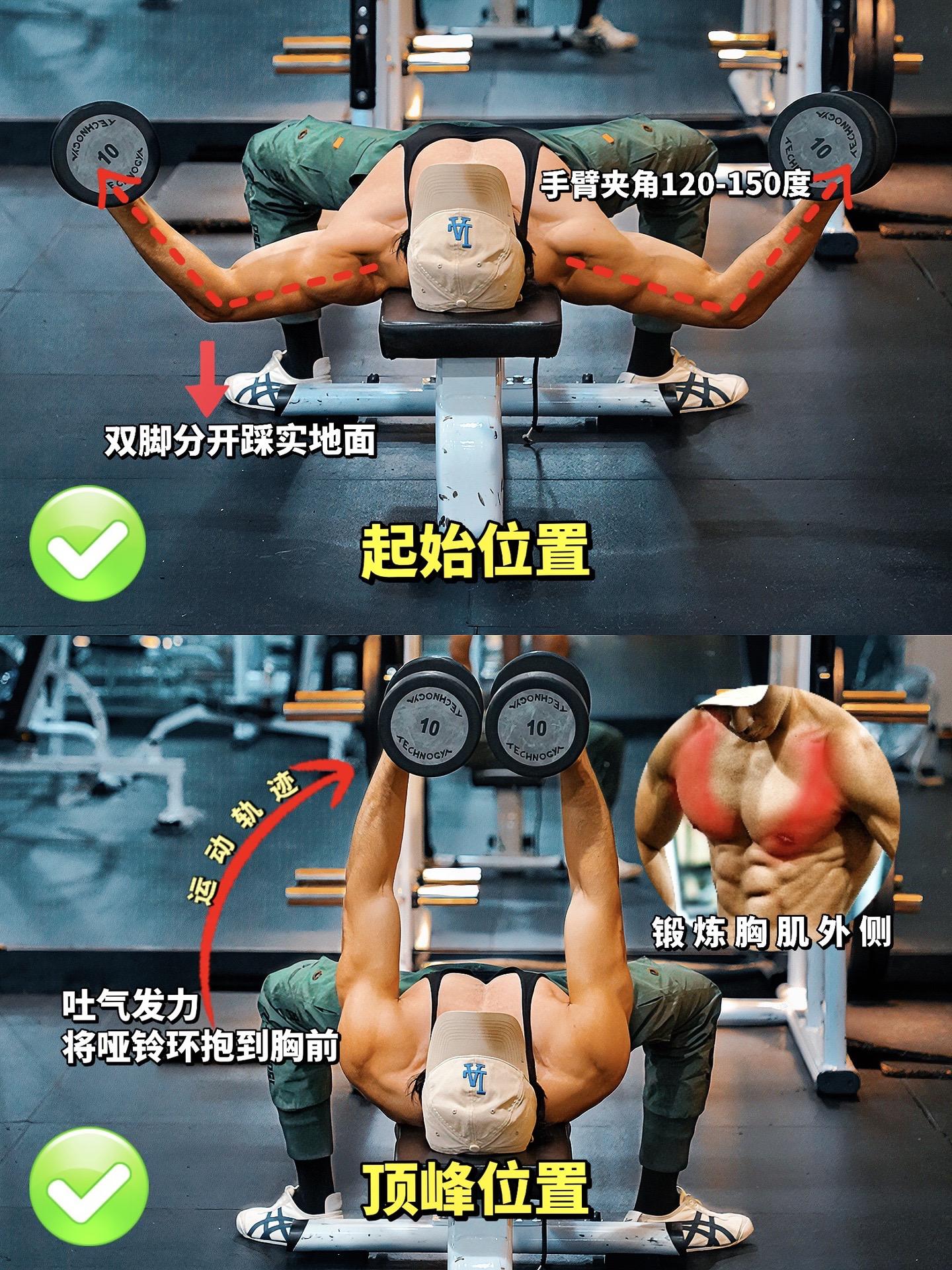 平板哑铃飞鸟全方位解析！平板哑铃飞鸟常见错误及纠正，看看你都做对了吗？