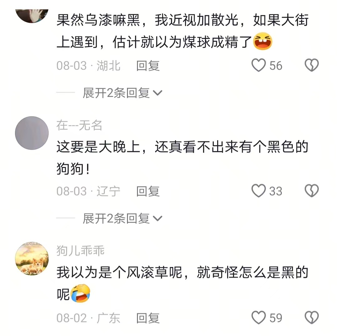 以为是抽象派 实则写实派 