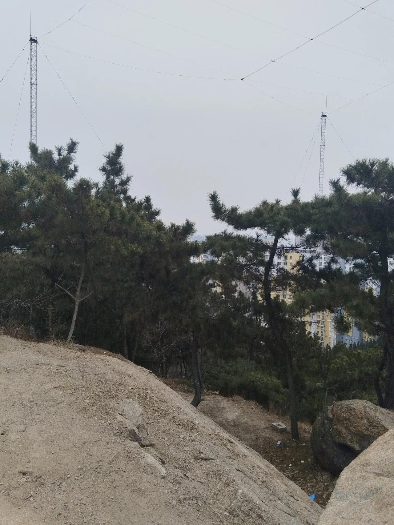 不能再躺了起床运动运动吧，爬山起！沿着小路的台阶本来一口气能跑到山顶，这次歇了无
