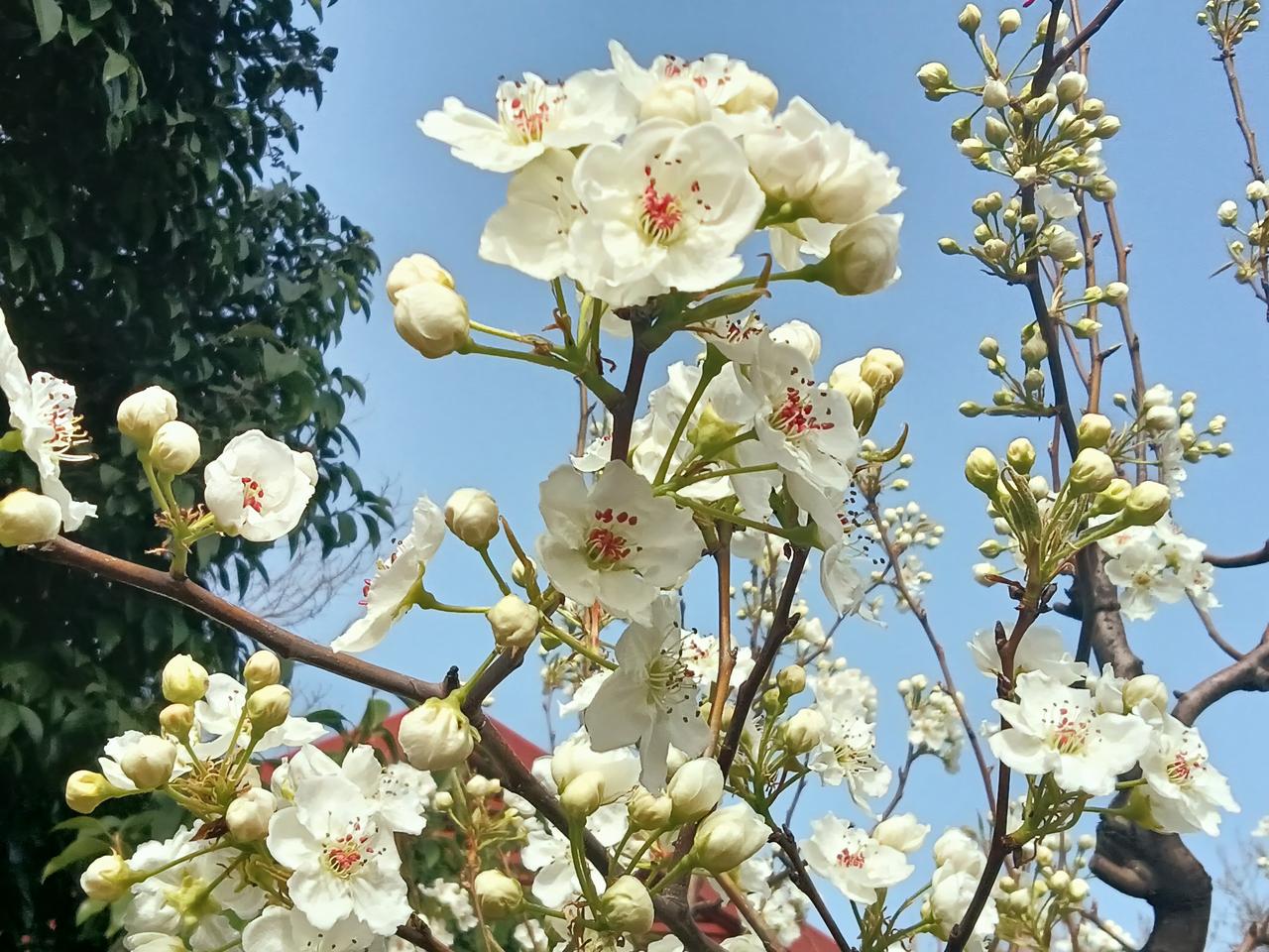 难以置信！世界文化遗产·大明宫国家公园 核心收费区内， 竟然存在着私人所有的所谓