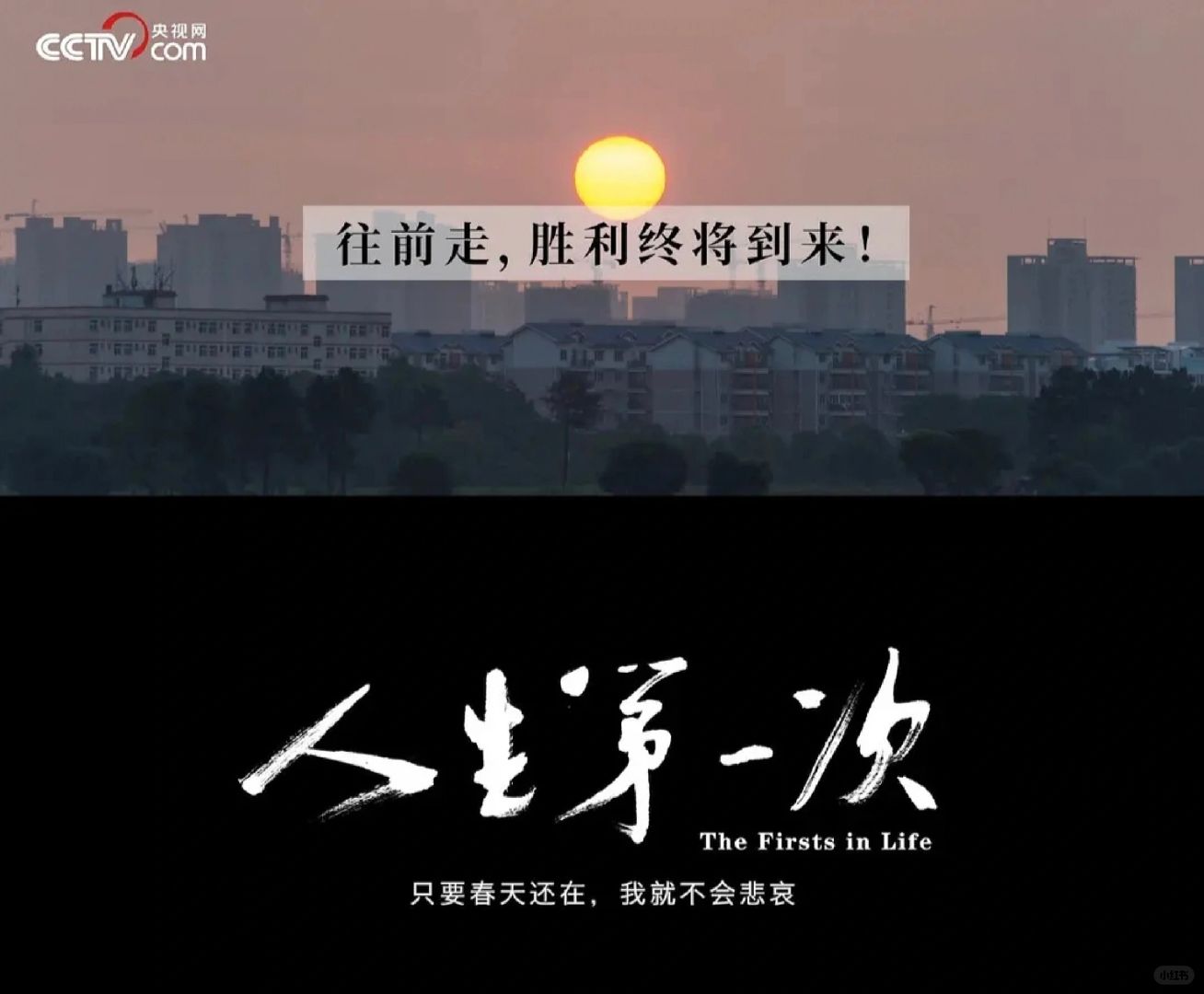 豆瓣高分纪录片《人生第一次》！看哭所有人