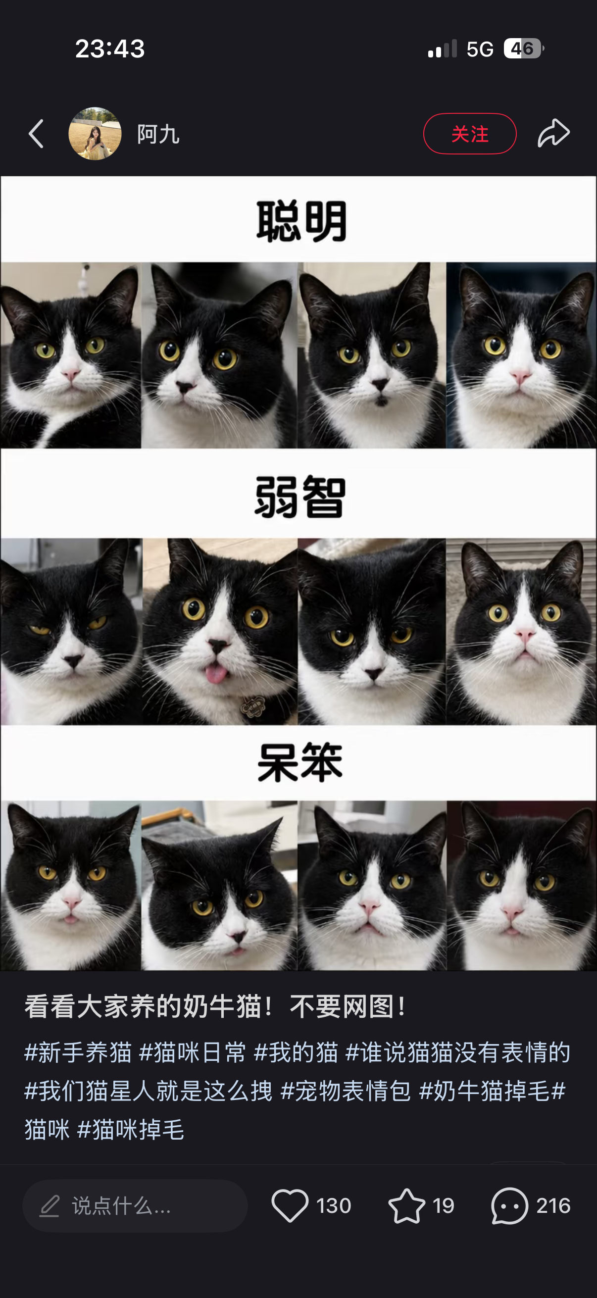 哪个是我们家八咪 