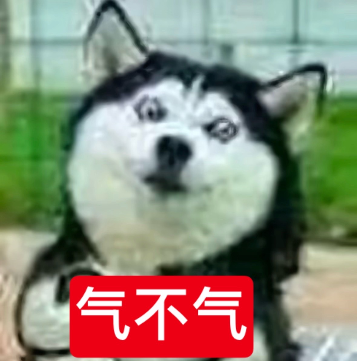孩子们我一直在笑 此刻完全是极度的得瑟 ​​​