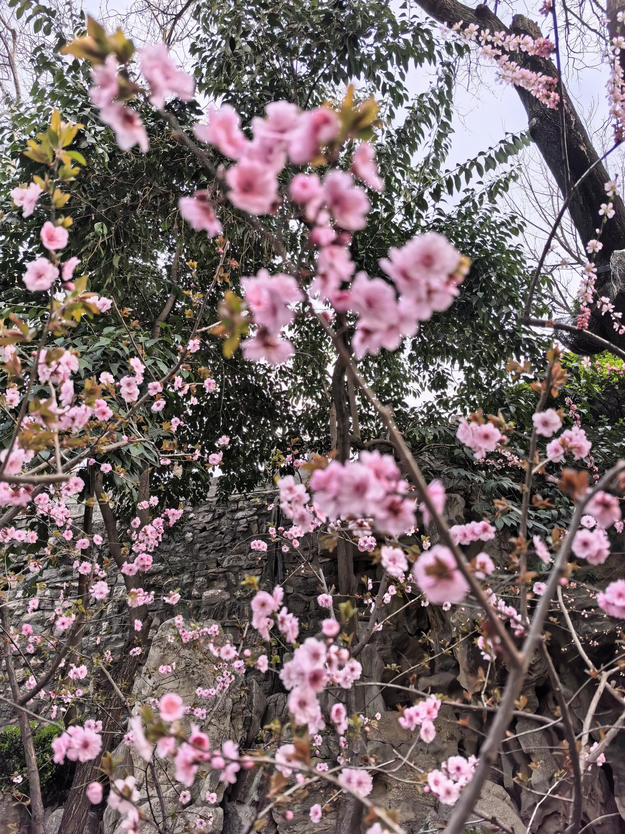 晒图笔记大赛少看手机，多站桩。