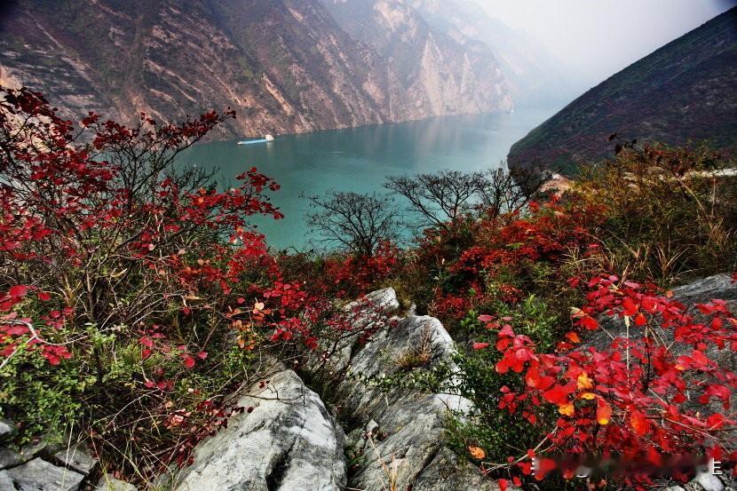 三家三甲眼科医院的亲历和对比!
    白内障严重了，要做手术了，这就堪比一场战