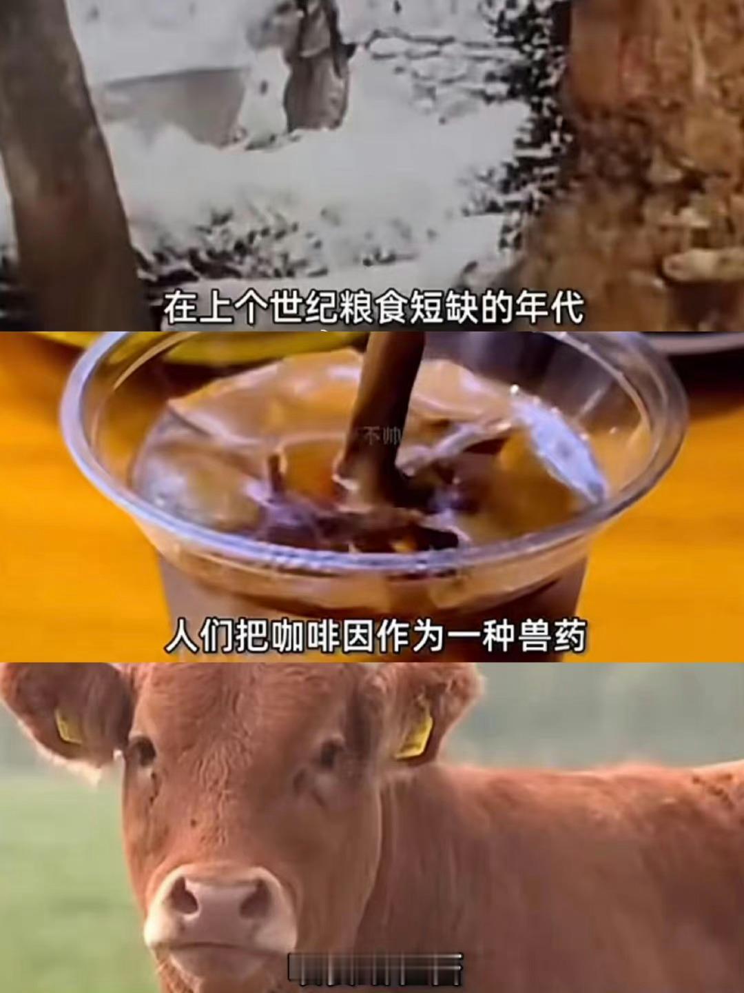 打工人是牛马的证据加一 ​​​