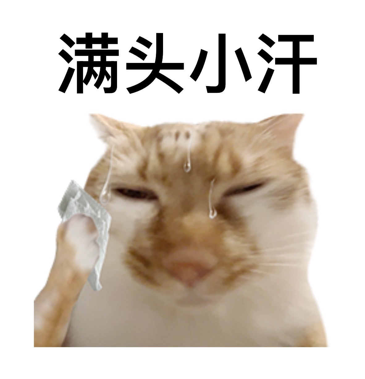 回家了，刚才要下高铁的时候打扫卫生的阿姨说：“借过一下，让我先过去，小朋友。”年