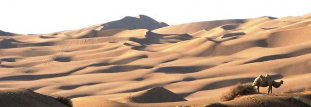 距今4379年前，一场席卷全球的大洪水重塑了地球格局。海水倒灌，陆地沉没，世界在