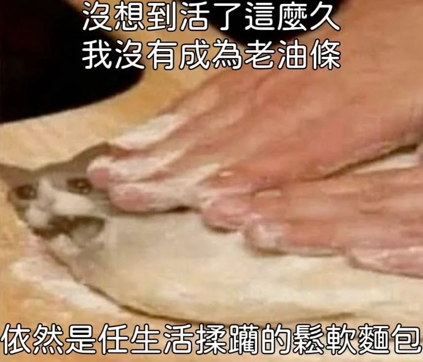 🧩🍩meme搞笑梗图时间到