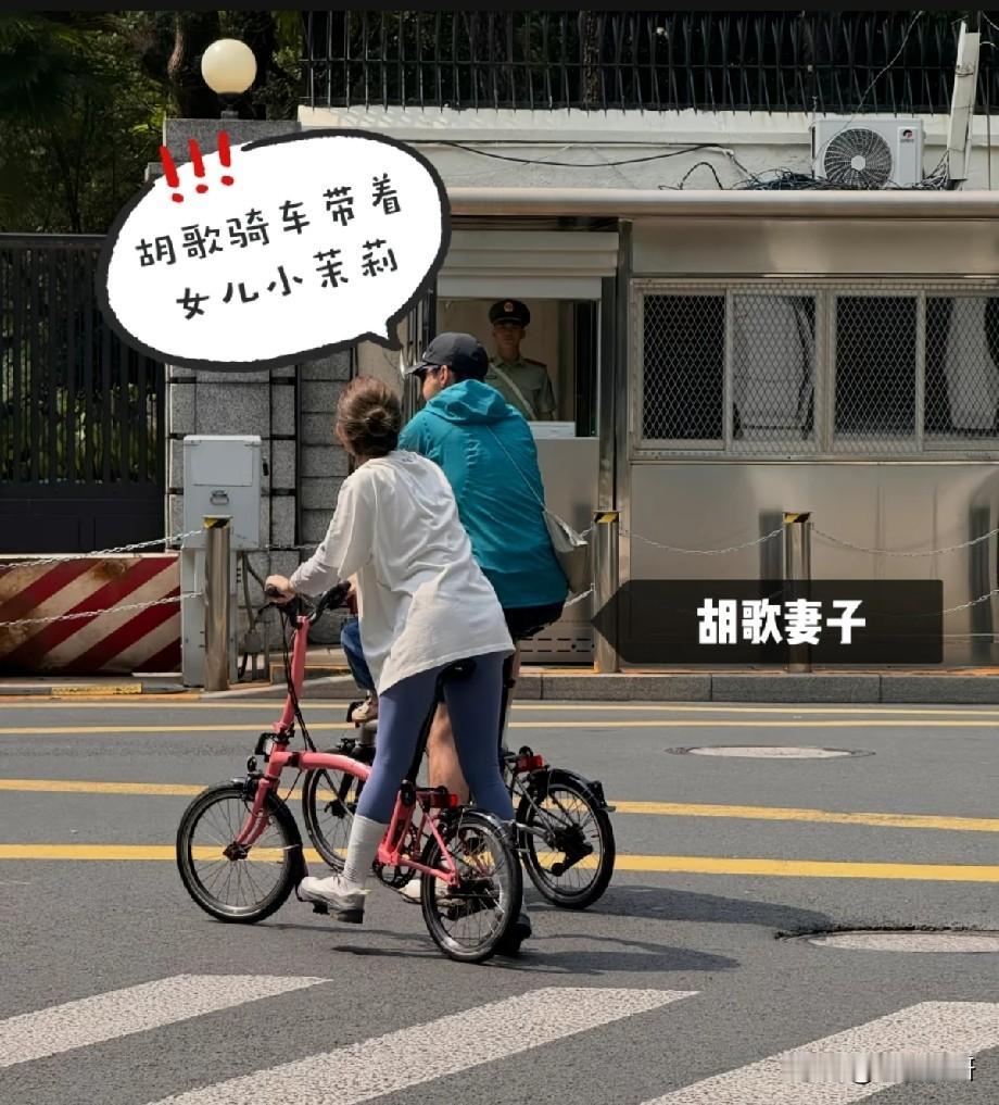 胡歌一家三口街头骑行被偶遇，简单日常满是烟火幸福感
 
近日，有网友在上海街头偶