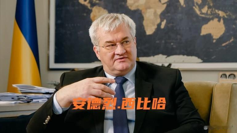 泽连斯基和普京可能会面，促成美乌、美俄分别签署和平协议
洲哥讲时事 当地时间20