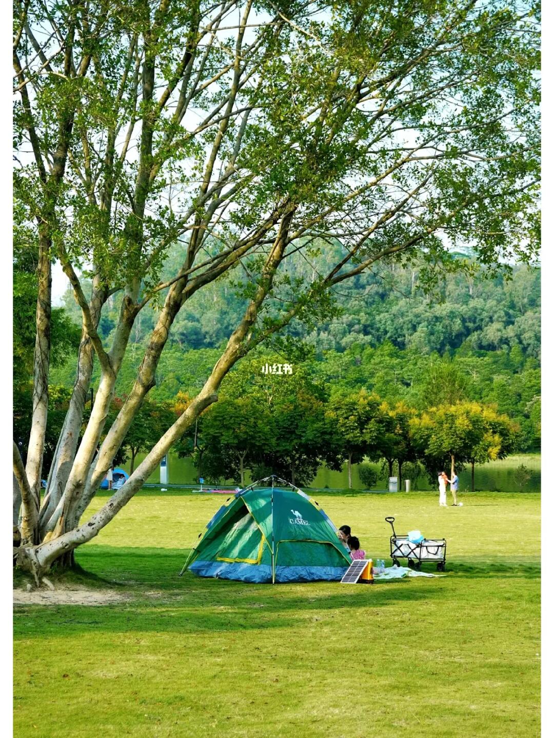 这，应该是东莞最早进入秋天的公园