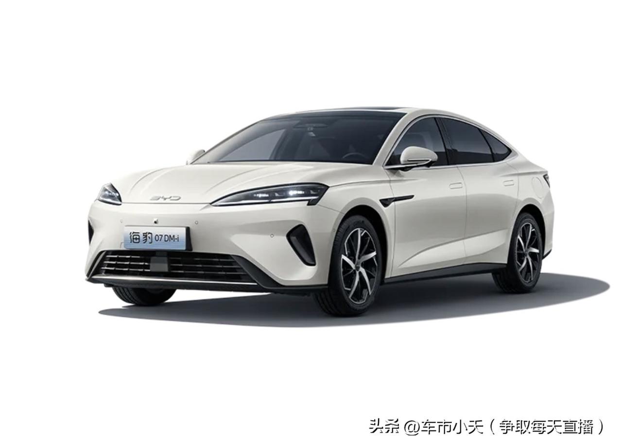 比亚迪第一季度的销量同比下滑了30%左右，这个下降幅度还是比较大的。但是海外销量