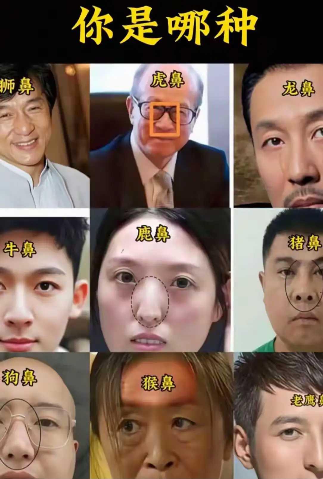 你属于什么鼻子？