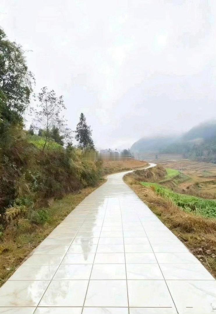 这就是我竞选村长的底气 