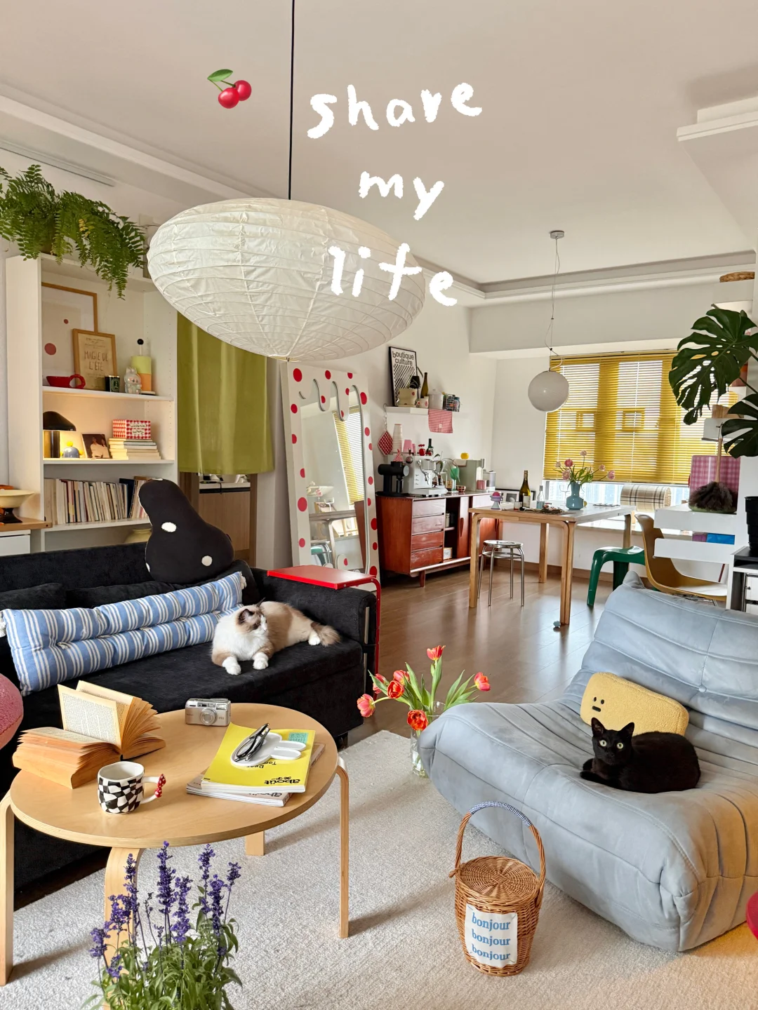 🌼春天没有方向 ⊹♡春天只顾开花⁾ºº