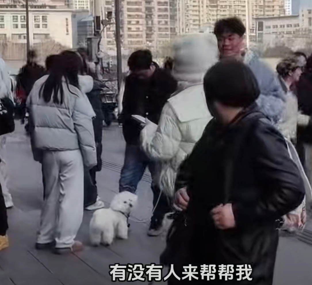 只要不社恐，认真找找亲朋好友，其实很容易凑吧。就看愿不愿意花这个社交成本和时间终