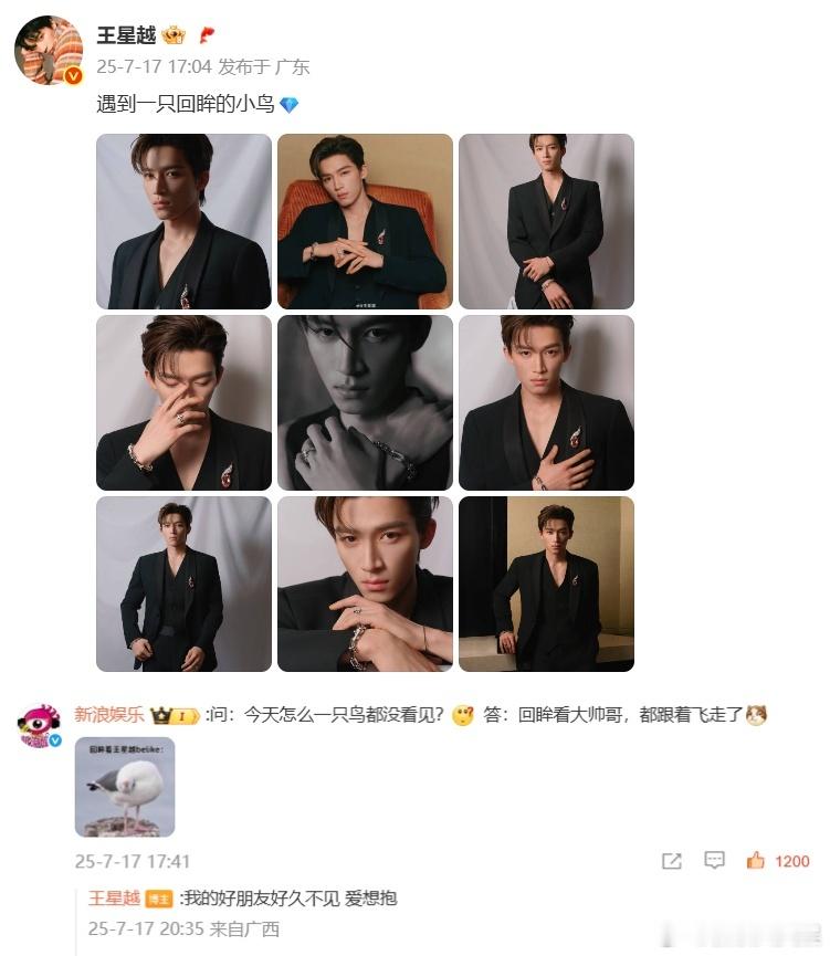 王星越爱想抱是什么意思遇到王星越的小鸟belike  当遇到一只回眸的小鸟👇：