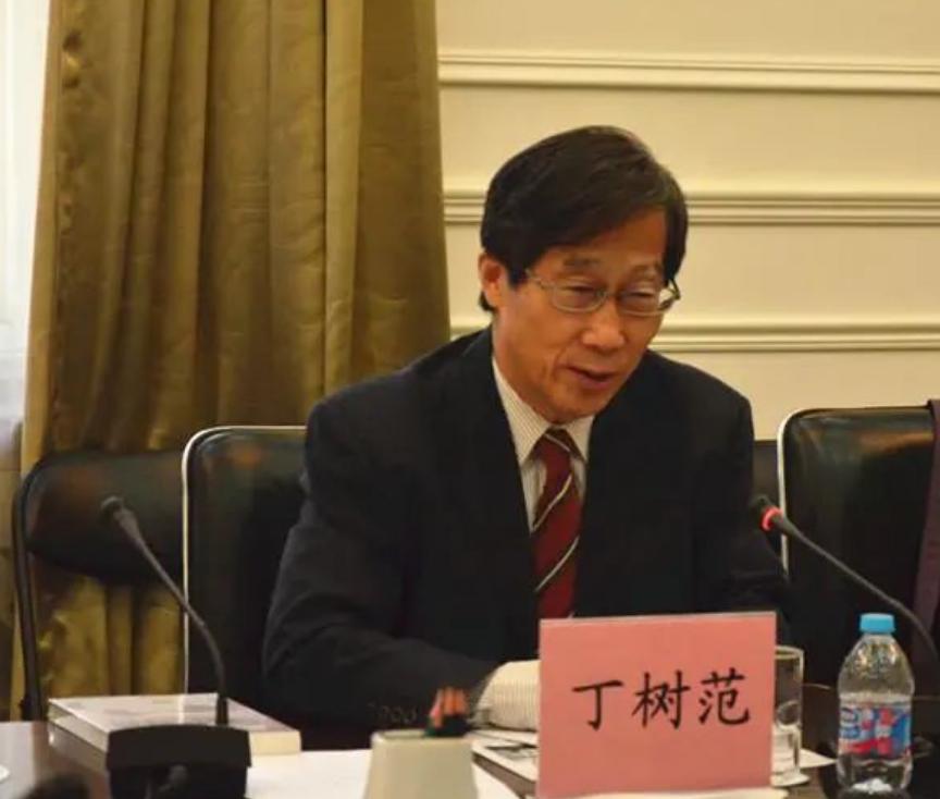 台湾大学教授丁树范表示，如果大陆坚持强制推行一国两制，国民党可能会选择拒绝接受这