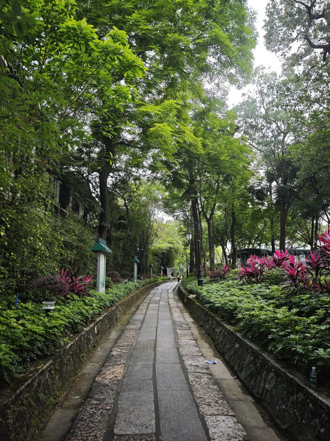 走进这里，我以为是广州兰圃公园